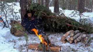 14 Days of Survival in The Forest Without a Tent | Far From People in The Cold