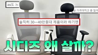 욕먹어도 잘 팔리는 시디즈 의자 리뷰ㅣ20만원 vs 30만원 가격대별 컴퓨터 사무용 의자 비교 l 시디즈 T50 l 의자 추천 사용법