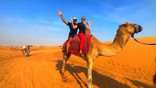 Dubai Desert Safari: Our Unforgettable Camel Ride Experience! | blessed4life