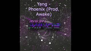 Phoenix - Yang (Prod Awake)