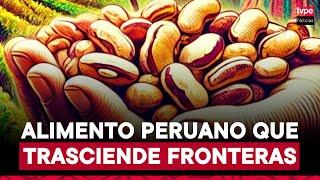 Todo sobre el pallar, el superalimento peruano que conquista el mercado internacional