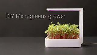 Home Microgreens Growing: DIY Your Own Device