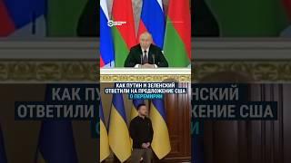 Путин и Зеленский о прекращении огня  #россия #украина #shorts #война