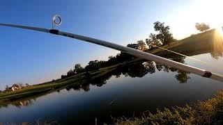 Pond Fishing