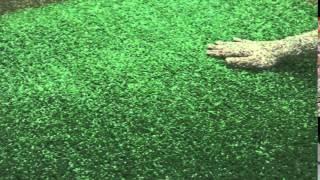 Ezy Mat Synthetic Turf Mat – Features and Benefits