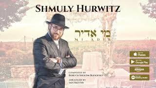 Mi Adir - Shmuly Hurwitz [Official Audio] מי אדיר - שמולי הורוויץ