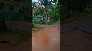 Exploring My Village in the Rain #trending #trendingreels #viralvideos #monsoon #kerala #nostalgia