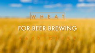 Wheat For Beer Brewing Easy Guide