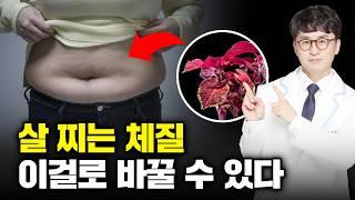 다이어트 성공한 사람들은 꼭 먹는 이것! 다이어트 영양제 꿀조합 공개. 살 빼는 법