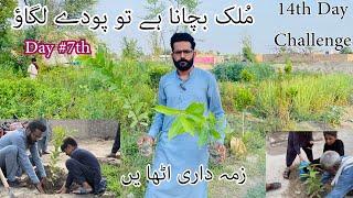 Plantation 7th  Day Vlog | Fruit plants | People are saying welcome | Yasir Riaz vlog