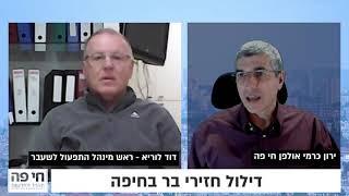 חי פה   חדשות חיפה: דוד לוריא מסביר על דילול חזירי הבר בחיפה - ראיון מהאולפן של חי פה