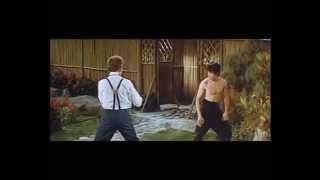 Jeet Kune Do - Bruce Lee  techniques