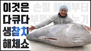 200kg급 생참치를 먹기까지의 전과정과 해체쇼 (Giant Bluefin Tuna Cutting Show)