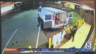 Video captures $100,000 dog heist at Gardena pet shop