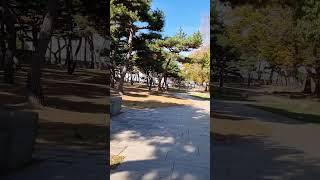 솔뫼성지를 걷다. #렉스로버 #차박 #캠핑카 #캠핑 #가을