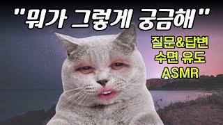 [야부리] 질문&답변 (광고 없음) #수면유도asmr