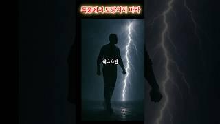 당신은 피하면 안된다 #오늘의명언 #지식 #쇼펜하우어 #동기부여 #삶의지혜 #자기계발 #인생조언 #니체명언 #철학명언