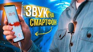 Как записать звук на смартфон? Что такое петлички и как их подключать?