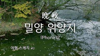 가을. 밀양 위양지 스케치. Miryang. 密陽 位良池 車泊旅行. iPhone12 movie.