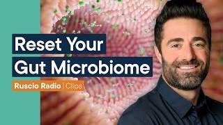 How To Stop Bloating and Reset Your Gut Microbiome (Best Protocol)