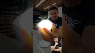 Can You Turn an Egg Into a Bouncy Ball 