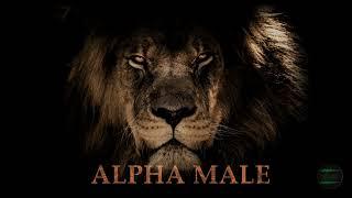 ALPHA MALE - Subliminal Subconscious Programming (Mindset & Pheromones)