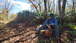 ひろしま北里山キング パート2 完登～ 砥石郷山