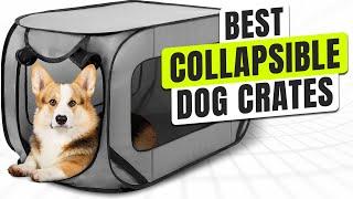 5 BEST Collapsible Dog Crates