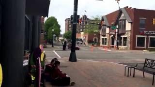 Tulip Time music