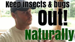 DIY Pest Control // How to Naturally keep pests out of your house!