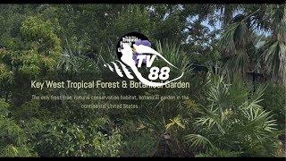 Take a Tour of the Key West Tropical Forest & Botanical Garden