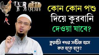 কোন কোন পশু দিয়ে কোরবানি করা যায়? কুরবানীর পশুর বয়স কত হতে হবে? কুরবানির মাসআলা। Shaikh Ahmadullah