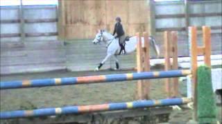 Silver at Lochside Lane January 10 2015