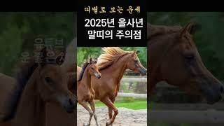 2025년 을사년 띠별운세! 을사년에 대박날 말띠가 조심해야 할 일! 2025년에 운 좋은 말띠 운세!