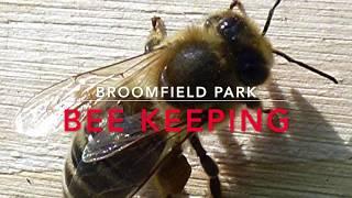 Palmers Green Tales, Bee keeping in the Broomfield Park Orchard