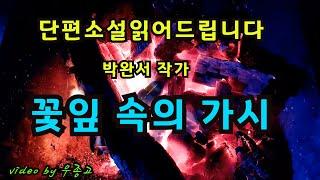 [단편소설오디오북] 꽃잎 속의 가시 / 박완서 작가 / 풍요와 편리를 좇아 미친 듯 질주해온 지난 30여년 동안 우리의 삶이 어떻게 왜곡되었고무엇을 잃어버렸는지...