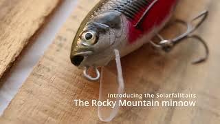 Solarfallbaits | Rocky mountain minnow swimtest