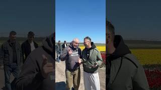 Тюльпаны в Беларуси