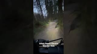 Urban Forest Electric Scooter Ride. #youtubeshorts #electricscooter #youtubeshort #adventure #urban