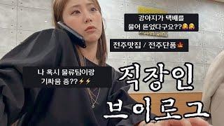VLOGㅣ직장인브이로그ㅣ쇼핑몰CSㅣ사무직ㅣ키보드ASMRㅣ물류팀과기싸움?ㅣ강아지 택배를 물어 뜯었다구요?ㅣ전주브런치맛집ㅣ전주휘낭시애맛집ㅣ전주단풍ㅣ30대직장인ㅣ데일리룩ㅣ가을출근룩ㅣ