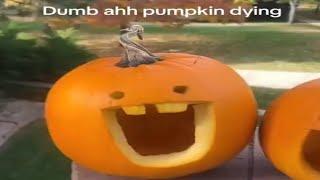 memes that make you PUMPKIN