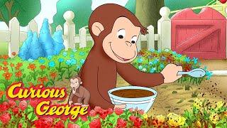 Curious George  Gardening with George  Kids Cartoon  Kids Movies  Videos for Kids