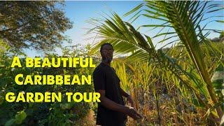 An Apopka Florida Caribbean garden tour