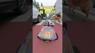 복날인데 뭐 먹지??(Ginseng and Chicken Porridge)#1
