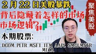 【NVDA|TSLA】2 月 22 日美股暴跌，背后隐藏着怎样的市场逻辑？这次复盘又能挖到哪些投资机会？DGOM  PLTR  MSFT  TEM  AAPL #美股分析#amaz美股#amd#投資