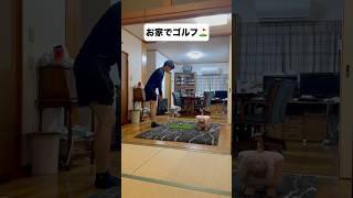 超緊張するゴルフ練習#shorts