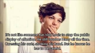 Our Adventures part 33 (Larry Stylinson)