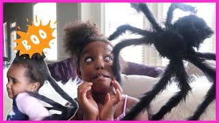 I WENT SHOPPING FOR HALLOWEEN DECORATIONS! | YOSHIDOLL