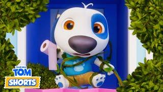 Garden Growing Potion & More  Talking Tom Shorts (S3 Episode 1)