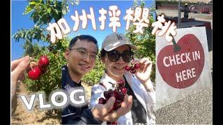 Weekend VLOG | 加州採櫻桃,  利苑港式飲茶, 認識新朋友, 芋泥小貝, 週末就要吃韓式, Philz ️ , 為什麼要拍影片? | Claireatravel